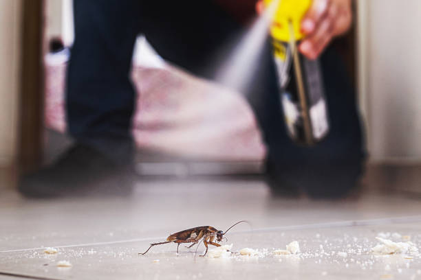 Pest Control Cost in North Fort Lewis, WA